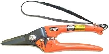Saboten 1210 Thinning Shear