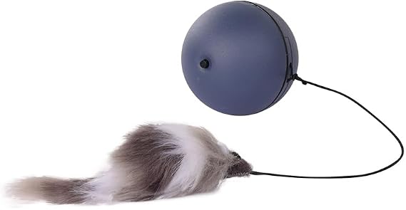 Interactive Cat Toys