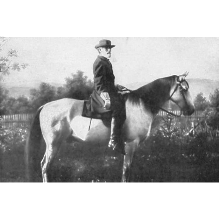 New 5x7 Photo: Robert E. Lee & Horse, Traveller