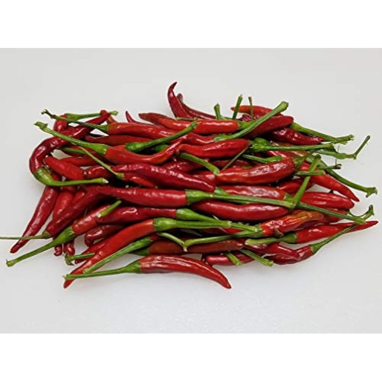Thai Dragon Pepper 10 Seeds