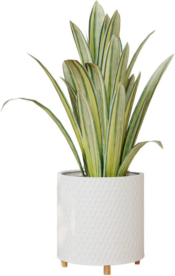 EverNest Claire Modern Indoor Plant Pot with Stand, White Pattern, 12 Inch, SelectBase, Neutral Mid-Century Modern Style, Metal Home Decor Planter (Large, 3 Gallon)