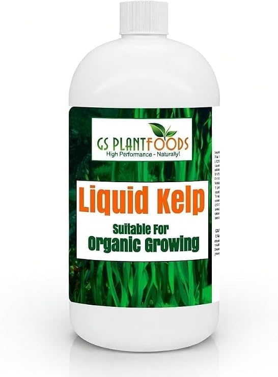 GS Plant Foods Liquid Kelp Fertilizer Suitable for Organic Growing, OMRI Listed Seaweed Concentrate for Flowers, Gardens, Vegetables & Soil - 1 Quart (Makes Up to 200+ Gallons)