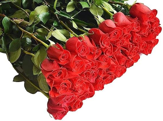 KaBloom-50 Red Rose Bouquet, Flowers for Valentine, Mother's Day