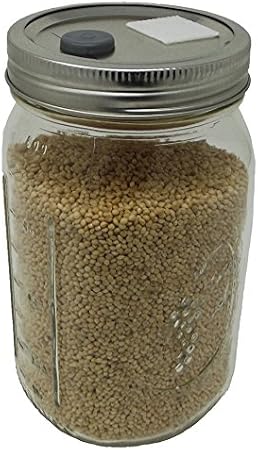 Sterilized White Millet Mushroom Substrate in Injectable Quart Jar