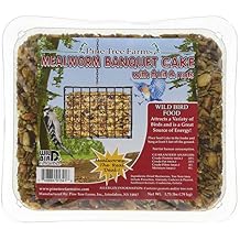 Pine Tree Farms 1341 Mealworm Banquet Cake, 1.75 lb