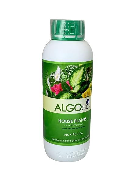 Algoplus Fertilizer Houseplant Formula - Single