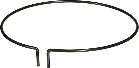 Tierra Garden PGS9214 Peacock Plant Side Support Rings 8-Inch, Dark Green