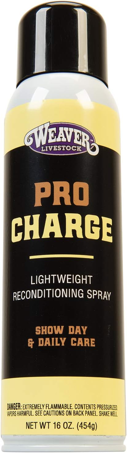 Weaver Leather Stierwalt ProCharge Reconditioning Spray