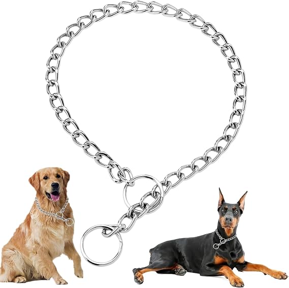 Silver Dog Chain, Metal Slip Collars Heavy Duty Dog Choker Collar, XL