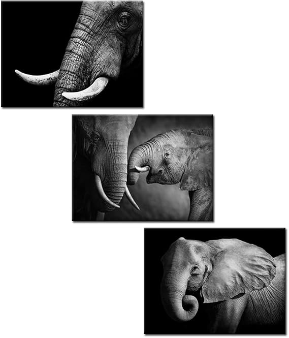 KREATIVE ARTS - Black and White Elephant Canvas Wall Art Decor Animal Painting Prints Artwork for Living Room Office Decor Giclee Canvas Prints Ready to Hang 12x16inchx3pcs/set