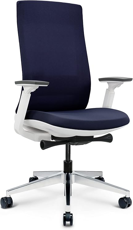 Ergohuman Elevate White with Blue Mesh