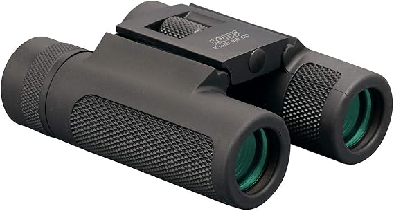 Konus Next-2 10x25 Binocular, Black, 10x25, 2020