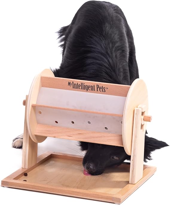 MY INTELLIGENT PETS Wheel of Fortune - Treat Dispenser and Engaging Slow Feeder, Mental Stimulation Toy for Dogs and Cats, Boredom Buster