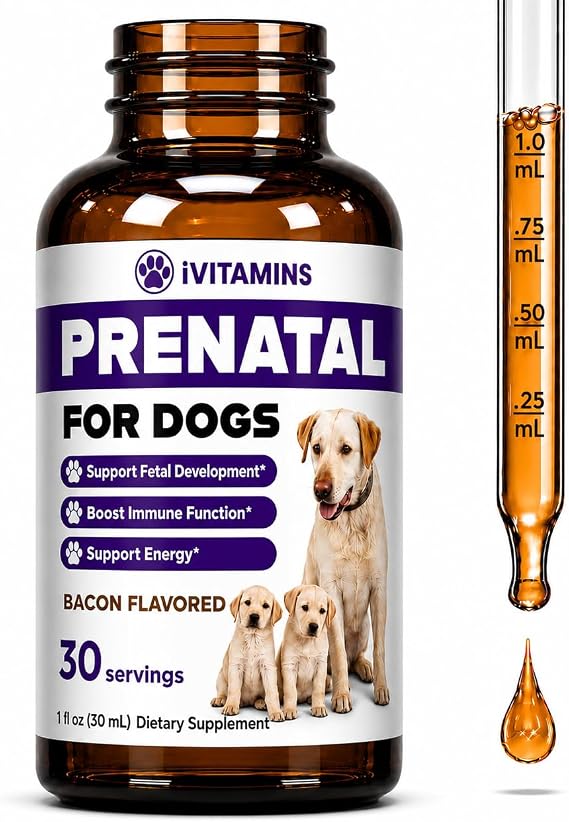 Dog Prenatal Vitamins - Prenatal Vitamins for Dogs - Includes Vitamin B Complex & Vitamin C - Dog Essentials - Whelping Supplies - 1 fl oz - Bacon Flavor