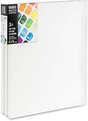Liquitex BASICS Canvas, 3 pack, 16 x 20