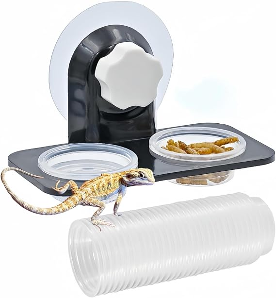 Lizard Gecko Feeding Ledge Holder, with 30 pcs 0.5oz Food Cups Dish