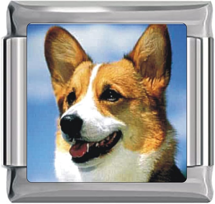 NewCharms Corgi Dog Italian Charm