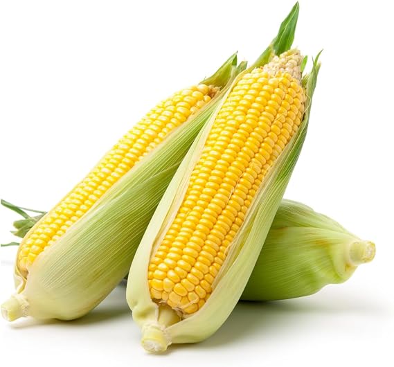 Brownie Brand Honey N'Pearl Sweet Corn Seeds - Non-GMO, Heirloom Variety with Tender, Juicy Kernels - Perfect for Home Gardens, Sustainable Farming, and Fresh Eating or Canning. (Packet)