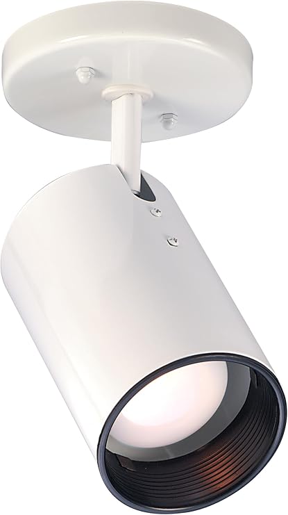 NUVO SF76/412 One Light Close-to-Ceiling Flush Mount, White