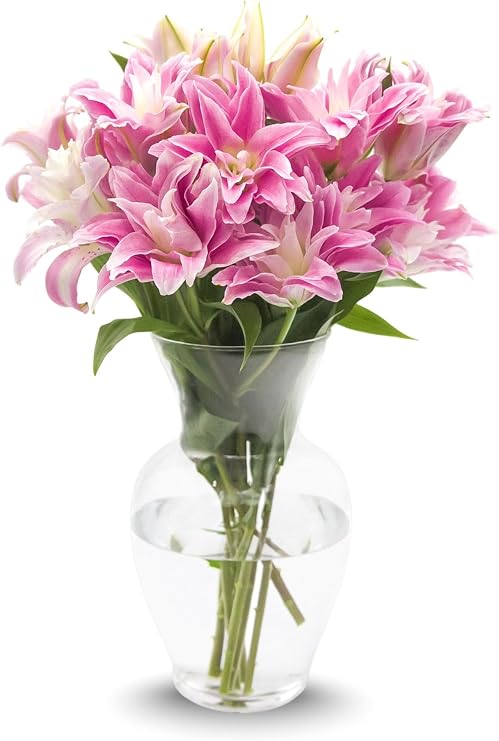 Stargazer Barn 10 Stem Rose Lily Bouquet - Vase Included
