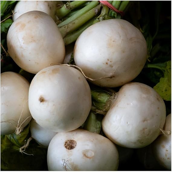 Everwilde Farms - 1 Lb White Egg Turnip Seeds - Gold Vault
