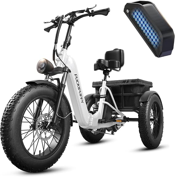 Electric Trike for Adult with 48V 17.4AH Cells Battery, 60 Miles Range, 960W Peak Motor, Pickup Class 500 LB Load Electric Tricycle with 20" Fat Tire and Large Basket for City and Mountain Road, Husky