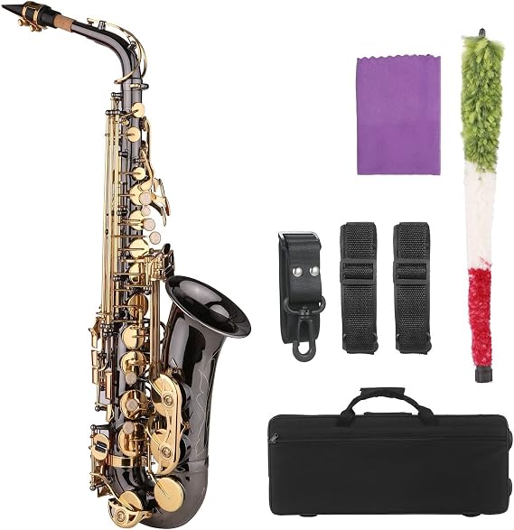 EB E-Flat Alto Saxophone Sax Nickel-Plated Brass Body with Engraving Keys Woodwind Instrument with Carry Case Professional Saxophone