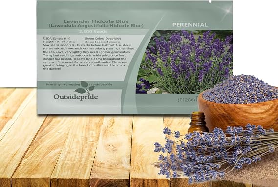 Outsidepride Hidcote Lavender Seeds - 1000 Pcs Perennial, Drought-Tolerant & Pollinator Friendly Herb Seeds for Planting Fragrant and Delicate Flowers with Deep Blue Blooms for Xeriscaping Gardens