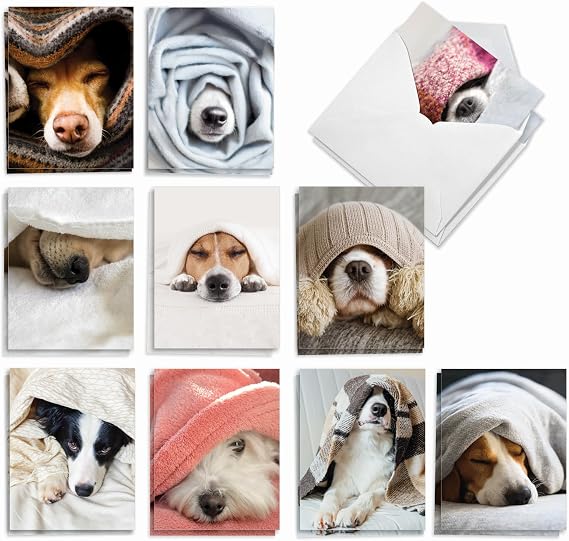 Best Card Co 20 Bulk Dog Note Cards Blank (4 x 5.12 Inch) Pups in a Blanket Adorable Puppy Notecards for Animal Lovers AM9265OCB-B2x10-NB