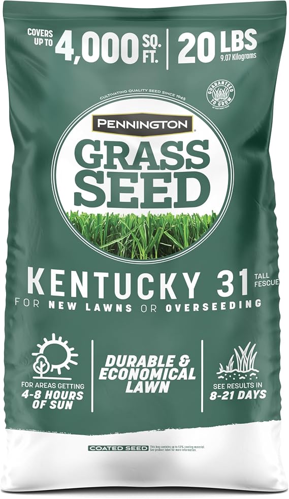 Pennington Kentucky 31 Fescue 20 lb Tall Fescue Grass Seed, Grass Seeds for Lawn