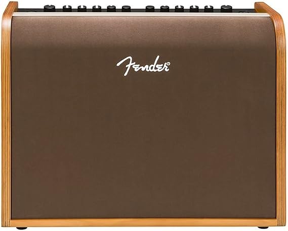Fender Acoustic 100 Guitar Amp