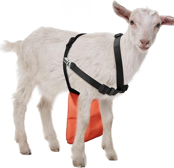 Kajaia Goat Apron Anti Breeding Sheep Skirt, Adjustable Strap