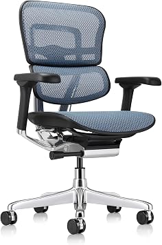 Ergohuman Eurotech ME8ERG GEN2 High Back Mesh Office Chair with Tilt Tension Control, Tilt Lock, Back Angle, Back Height, Synchro Tilt, Seat Height, Seat Depth, and Arm Height Adjustments, Blue
