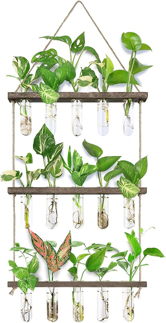 FLOWER Wall Hanging Propagation Station with Wooden Stand 5 Glass Test Tubes 3 Tiered Planters Wall Terrarium for Home Office Plant Hanger Flower Vases Wall Decor Hydroponic Cuttings