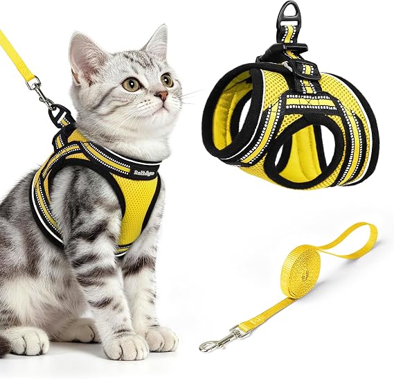 rabbitgoo Cat Harness and Leash Set, Step-in Soft Vest, Bright Yellow | Escape Proof, Lightweight, Easy-on & Adjustable, Reflective, Secure Hook & Loop with Buckle for Kittens & Small Cats Walks, M