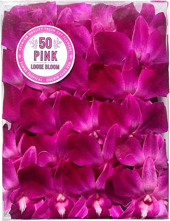 Miami Fresh Orchid Flower OrchidClub USA Sunne Tropical Loose Bloom Head DIY Lei food drink decoration PINK (50 PINK HOT)