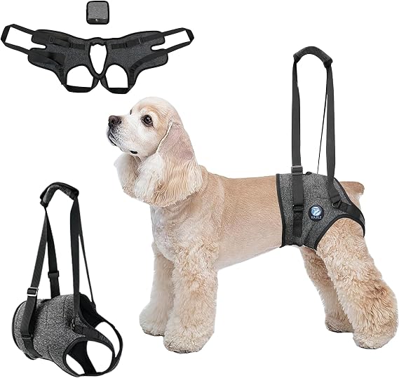Dog Rear Lift Harness Recovery Sling Injured Disabled,Dark Gray,S