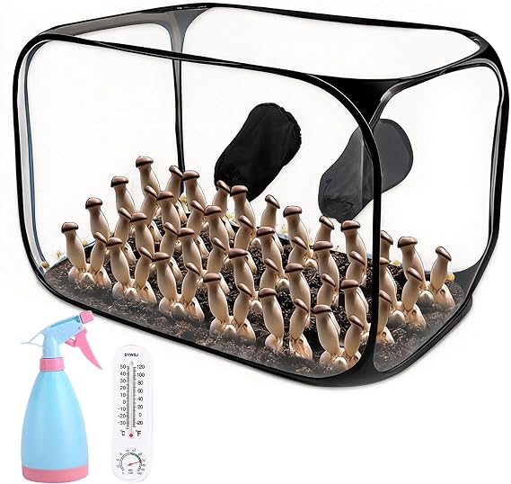 Still Air Box - Mushroom Growing Tent - Large Clean Air Workstation, Sturdy Flow Hood for Grow Bags, Growers, and Home Scientists