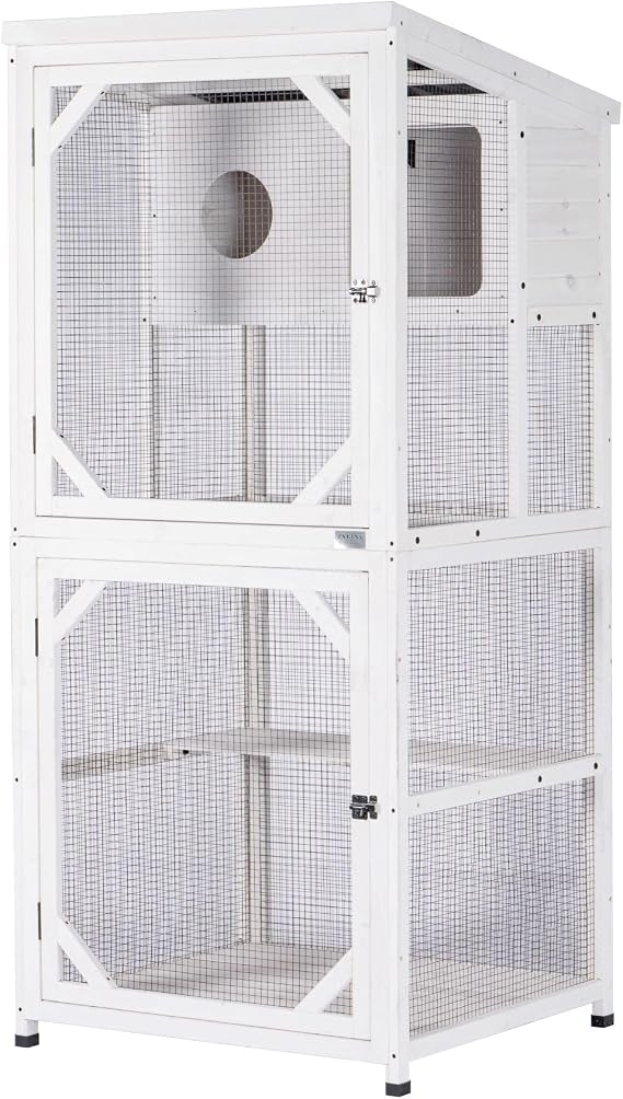Modern Indoor/Outdoor Cat Habitat
