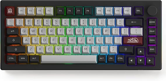 Akko Dracula Castle 5075B Plus Wireless Gaming Keyboard - LED RGB with PBT Keycaps, 2.4GHz Bluetooth & USB-C Wired Mechanical Keyboard for Gaming PC Accessories