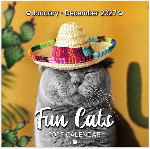 2027 Calendar - 2027 Wall Calendar, JAN 2027 - DEC 2027, Funny Cats Calendar 2027, Wall Calendar 12 Month, Funny Cat Memes Pics, 12'' x 24'' (Open), Unruled Block, Hanging Hole, Holidays