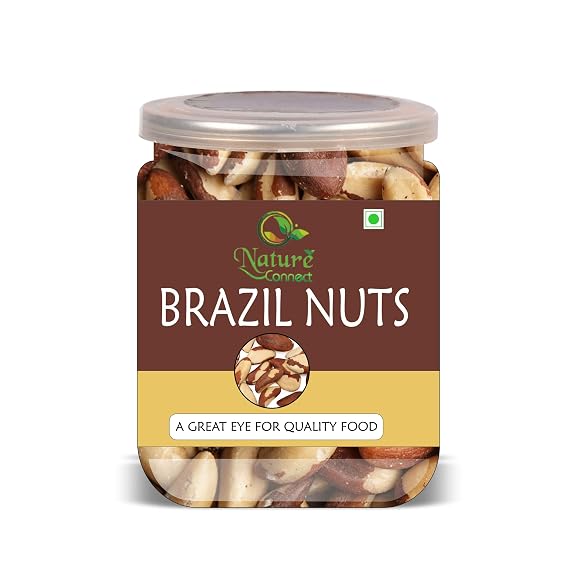 NATURE CONNECT Brazil Nuts 300 Gram Airtight Container