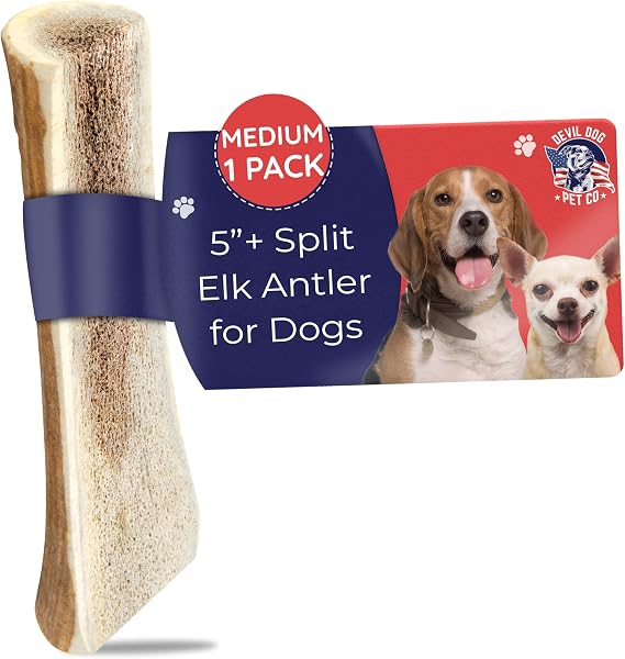 Devil Dog Pet Co Split Elk Antlers for Dogs, Medium, Long Lasting | Naturally shed Grade A elk antler split for marrow access, single ingredient, 7/10 hardness, 5 in+, fits breeds up to 40 lb