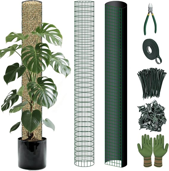 Metal Moss Poles for Climbing Plants, D-Shape Sphagnum Moss Pole Monstera Plant Support for Climbing Plants, DIY Plant Stakes Work with Sphagnum Moss (4ft D-Shaped & 6ft Round)