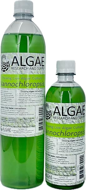 Algae Research Supply Nannochloropsis, Perfect for School Science Fairs/Projects, Experiments & Classrooms (1L)
