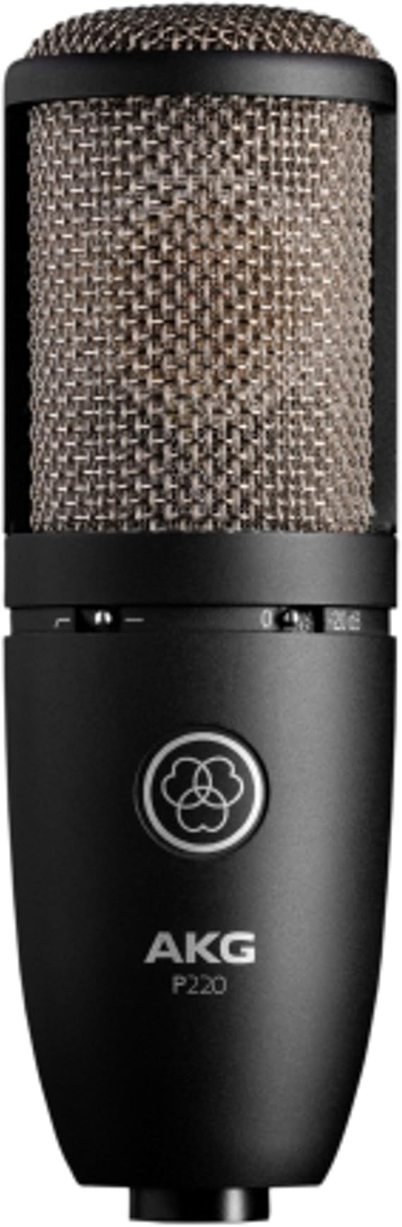 AKG Perception 220 Large Diaphragm Condenser Microphone