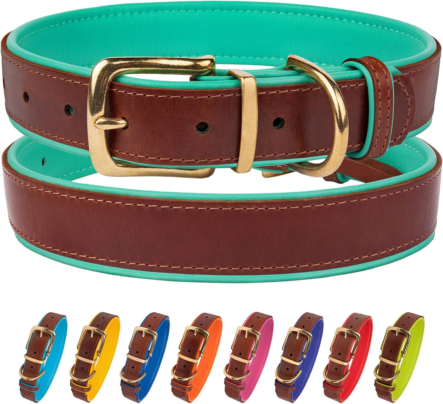 CollarDirect Leather Dog Collar Brass Buckle Soft Padded Puppy Small Medium Large Red Pink Blue Green Purple Yellow Neck Fit 11-13, Mint Green