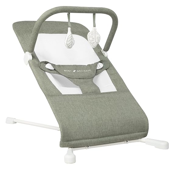 Baby Delight Highland Baby Bouncer, Sage Tweed