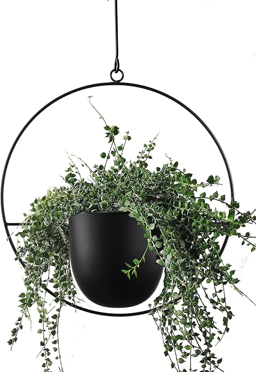 Hanging Planter for Indoor Outdoor Plants Metal Mid Century Minimalist Wall Ceiling Plant Hanger, Hanging Flower Pot Basket Holder for Home Office Decor(Black)