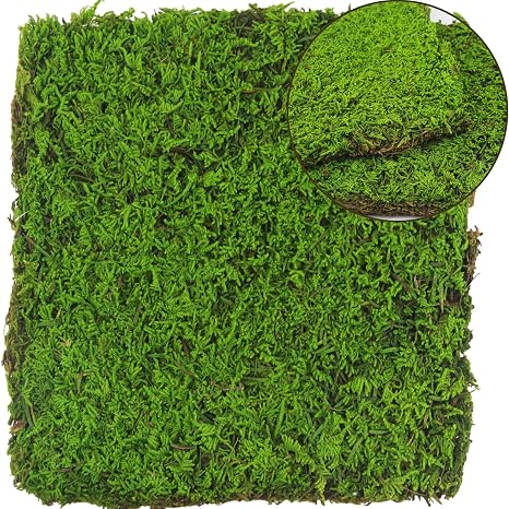2 Pcs Preserved Sheet Moss for Potted Plants 2 sq.ft. Dried Natural Preserved Mat Green Moss Sheets for Planters Crafts Woodland Decor Garden Party Wall Art DIY Project Light Green